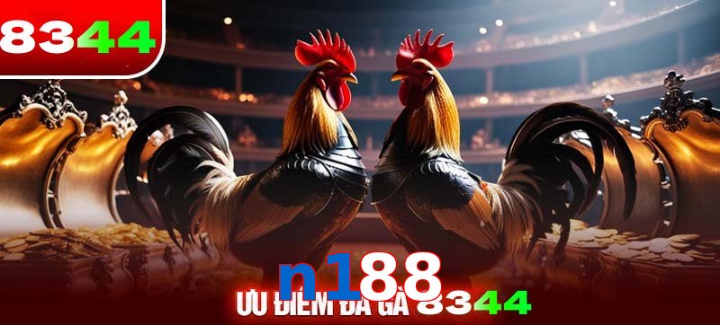 Thể loại đá gà n188 được ưa chuộng 